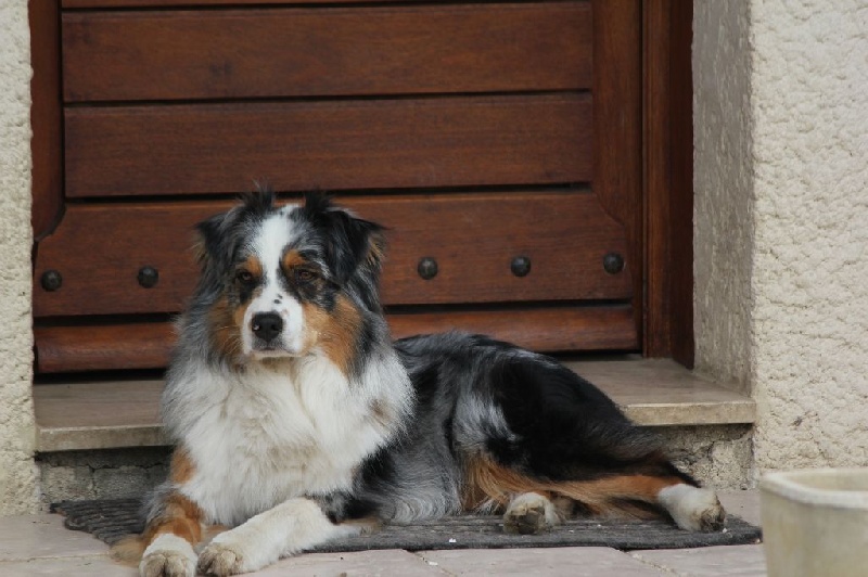 Gao kheops des Chemins Cathares