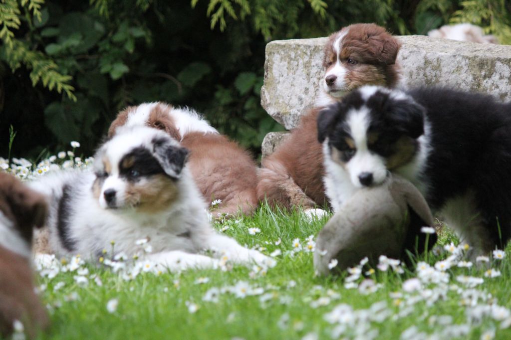 Tous mes adorables BB ont rejoint leurs familles !!