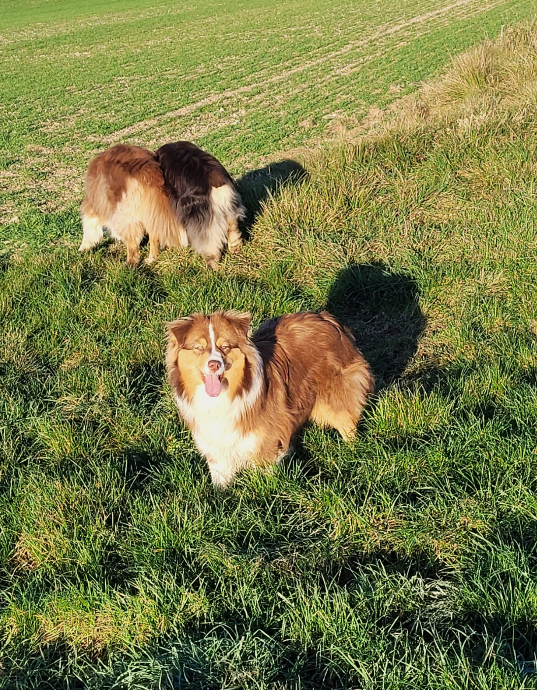 Voilà, c'est fini !!!!! Mais aucune tristesse, juste la joie de s'envoler vers d'autres horizons !!!!